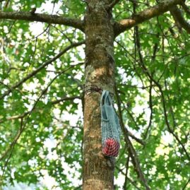 permanences de la litterature a libourne education artistique creation de cartes postales sonores dans les arbres